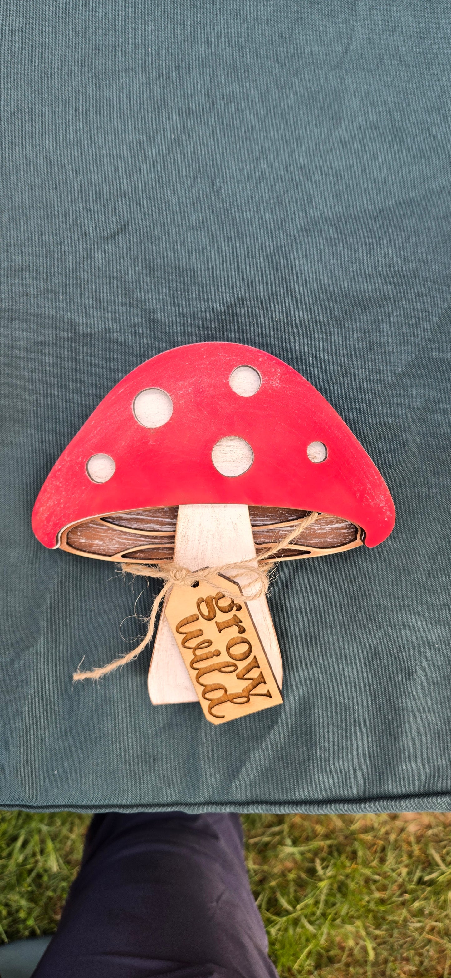 Mushroom Grow Wild Tabletop Display